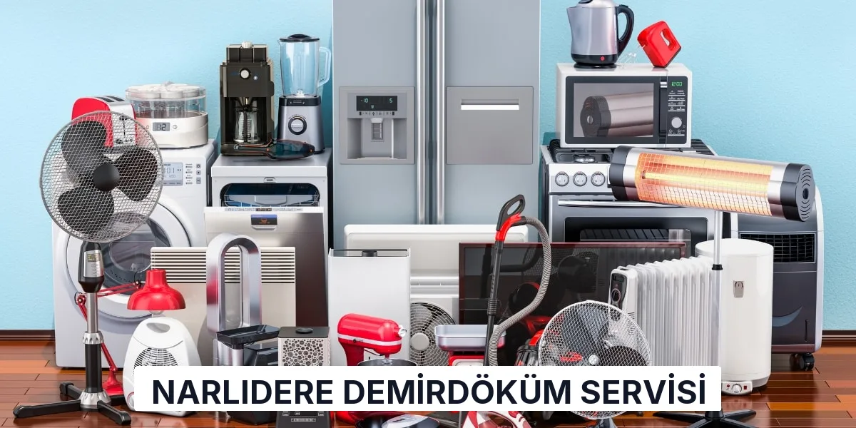 Narlıdere Demirdöküm Servisi