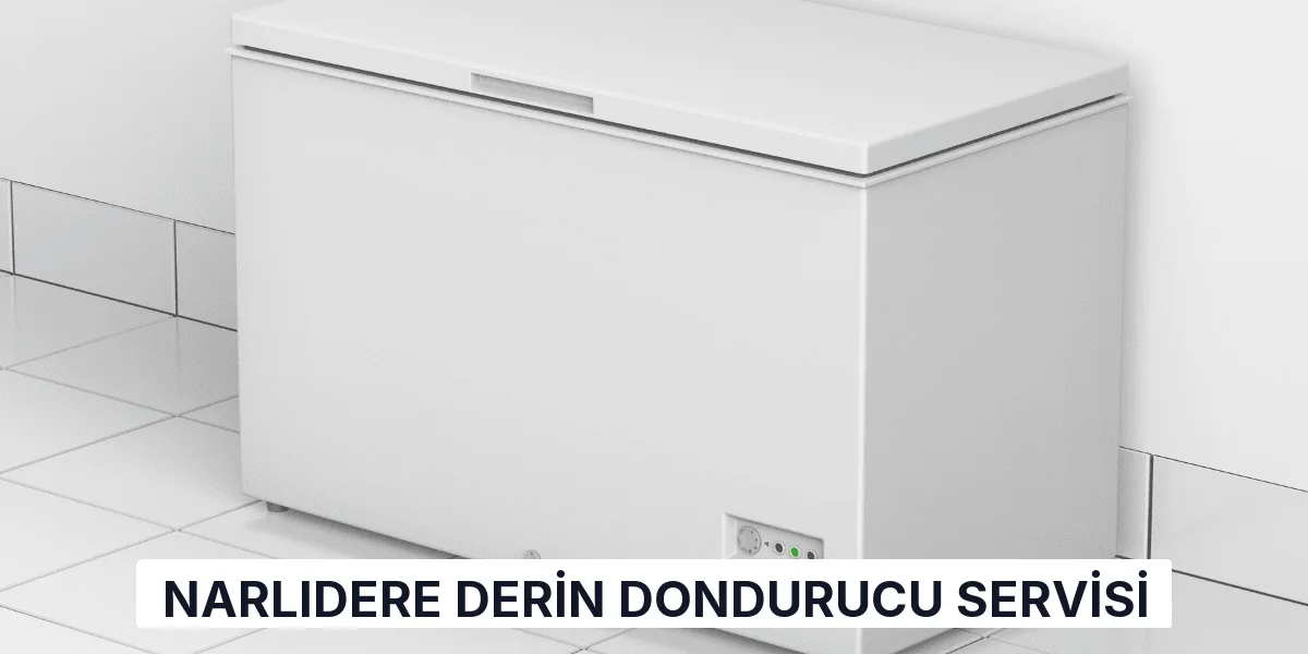 Narlıdere Derin Dondurucu Servisi