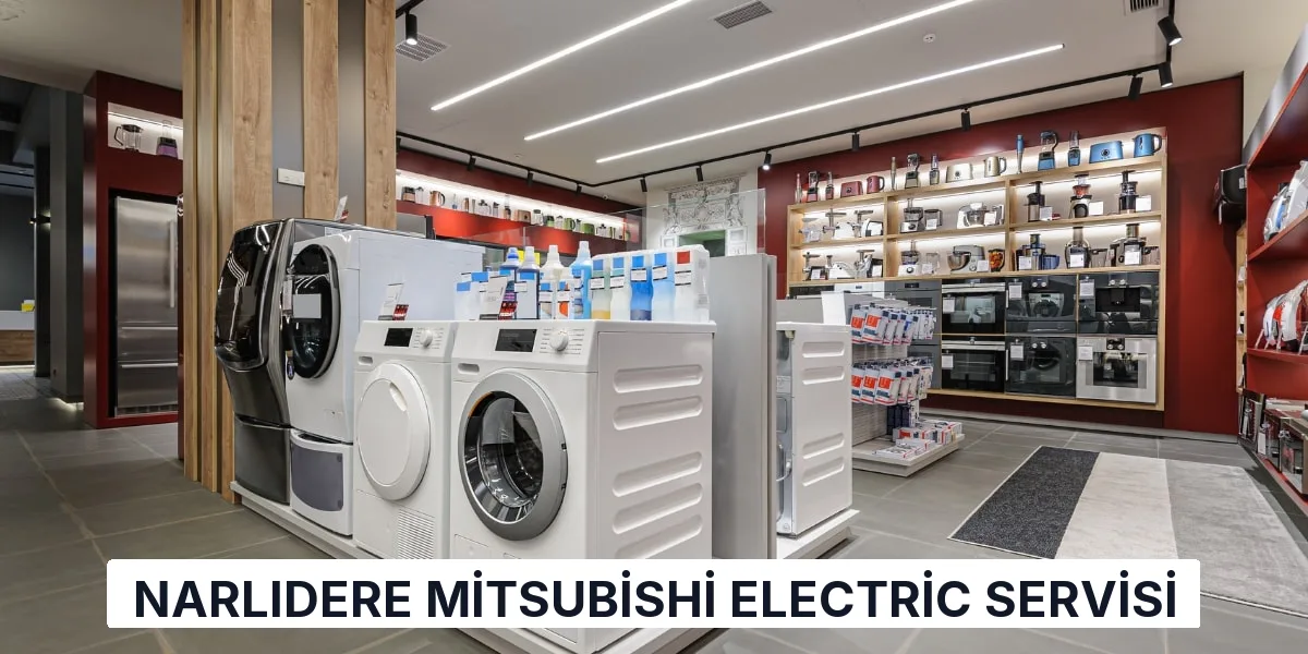 Narlıdere Mitsubishi Electric Servisi