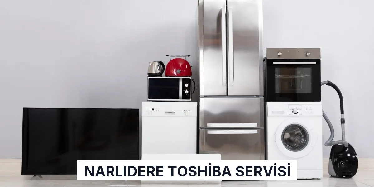 Narlıdere Toshiba Servisi
