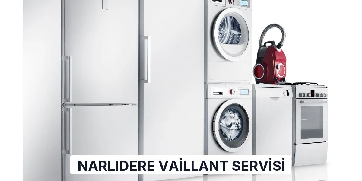 Narlıdere Vaillant Servisi